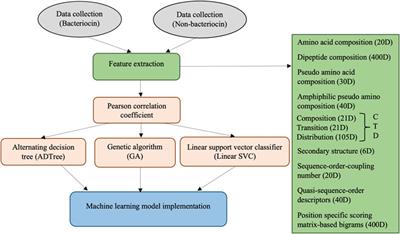 BPAGS: a web application for bacteriocin prediction via feature evaluation using alternating decision tree, genetic algorithm, and linear support vector classifier